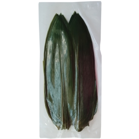 Bambusa lapas, svaigas, 28-32cm, 100gab.
